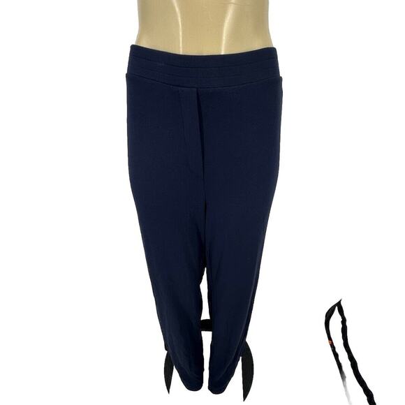 Pure Jill Plus Size 3X Eco Terry Pants Blue Stretch Pockets Pull On Comfy 26-19 - Picture 1 of 10